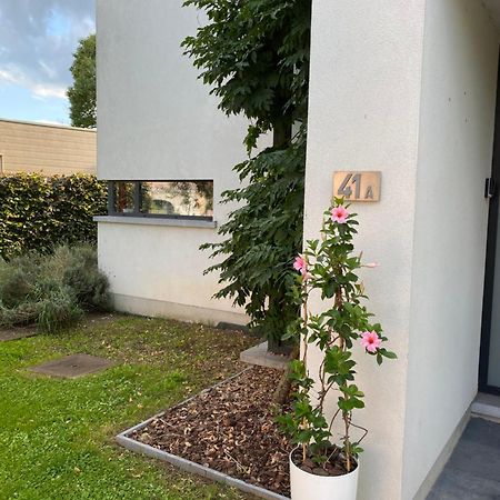 La Suite Cosy - Votre Pause Arboree La Bruyere Buitenkant foto