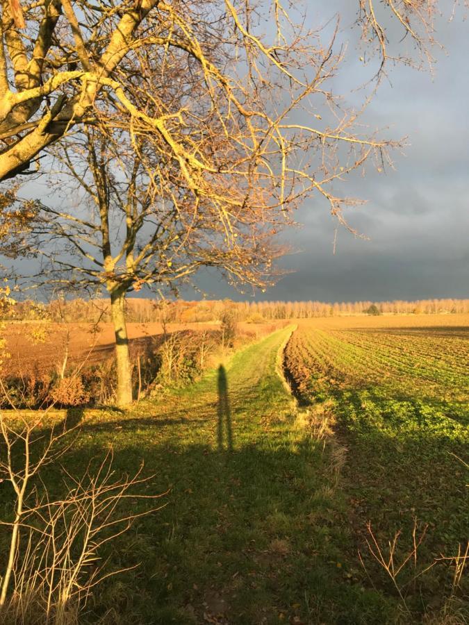 La Suite Cosy - Votre Pause Arboree La Bruyere Buitenkant foto