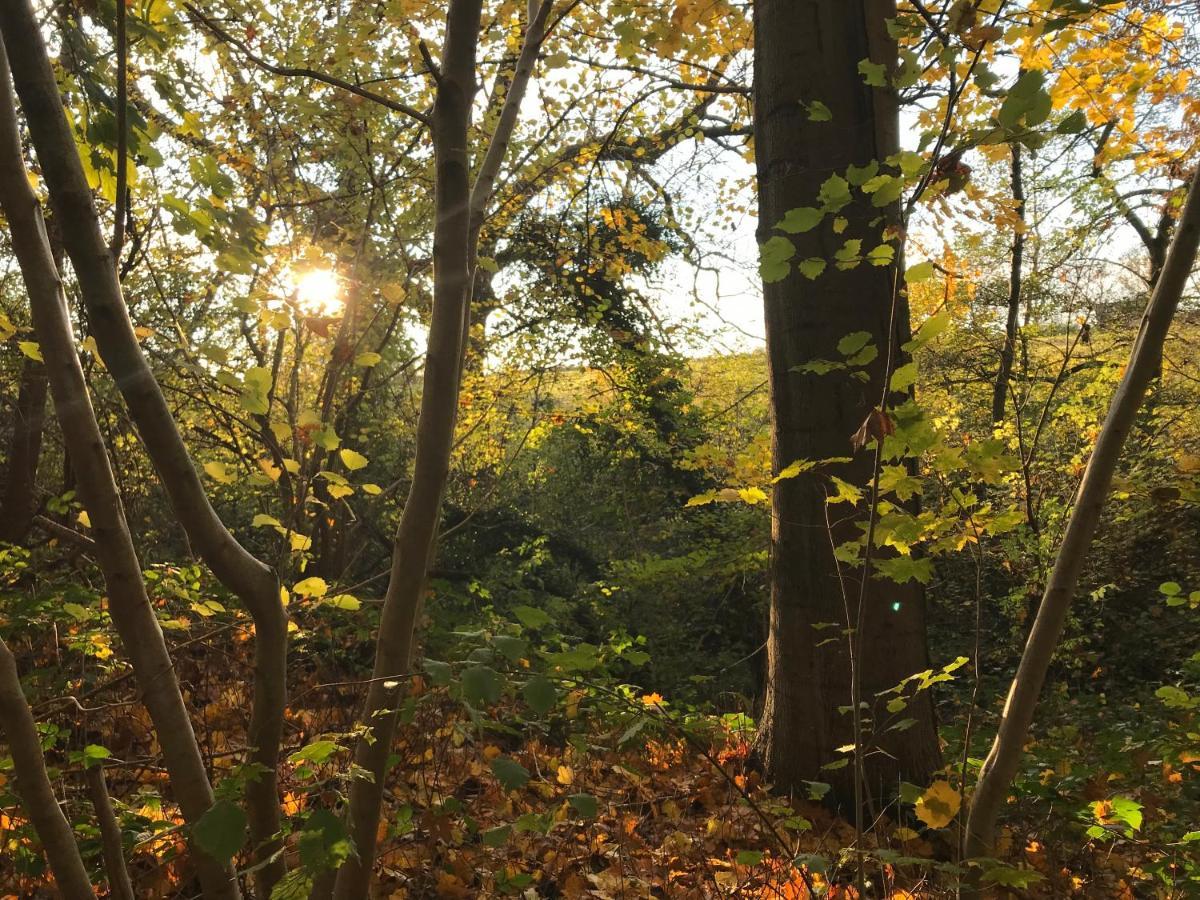 La Suite Cosy - Votre Pause Arboree La Bruyere Buitenkant foto