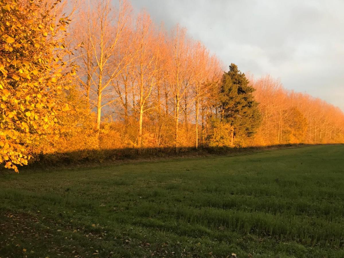 La Suite Cosy - Votre Pause Arboree La Bruyere Buitenkant foto