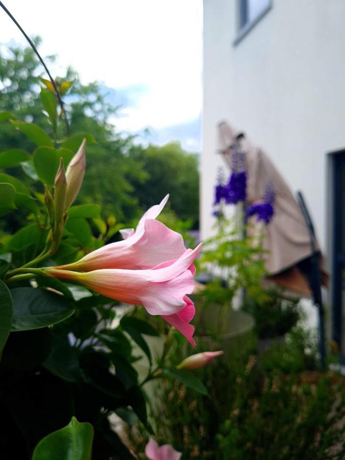 La Suite Cosy - Votre Pause Arboree La Bruyere Buitenkant foto
